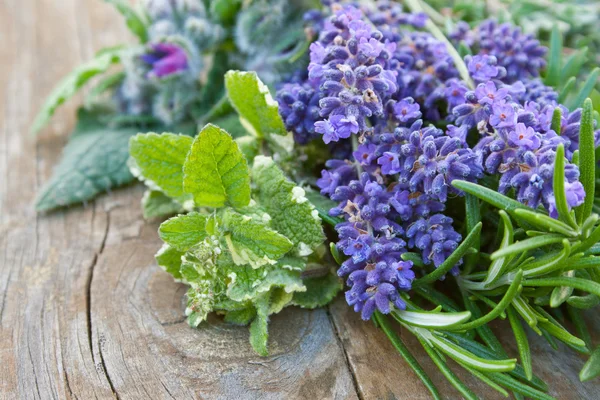 Ervas aromáticas frescas — Fotografia de Stock