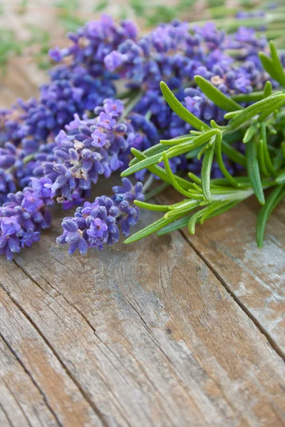 Lavanda — Fotografia de Stock