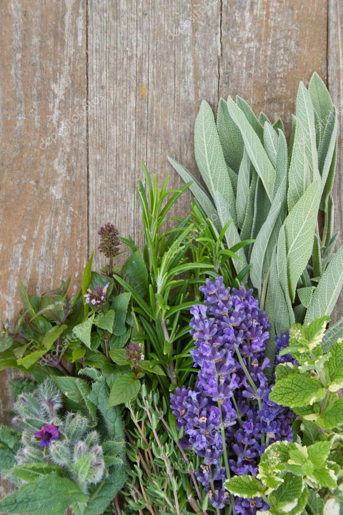 Fresh herbs Stock Photo by ©coramueller 18523263