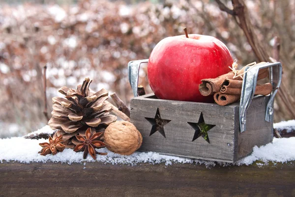 Weihnachten — Stockfoto