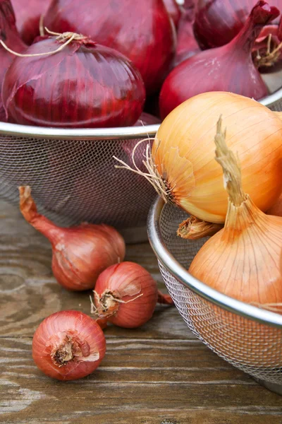 Cebollas — Foto de Stock