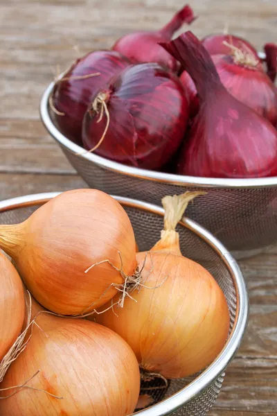 Cebollas — Foto de Stock