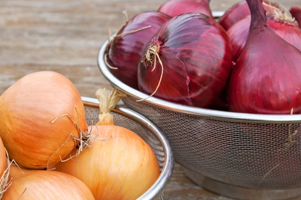 Cebollas — Foto de Stock