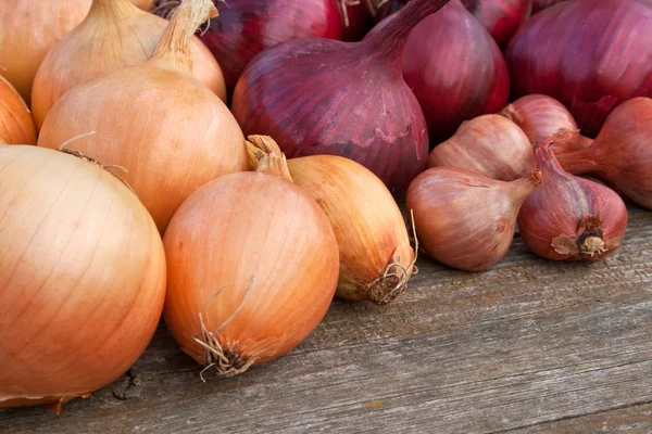 Cebollas — Foto de Stock