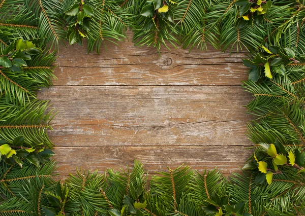 Fir and holly — Stock Photo, Image