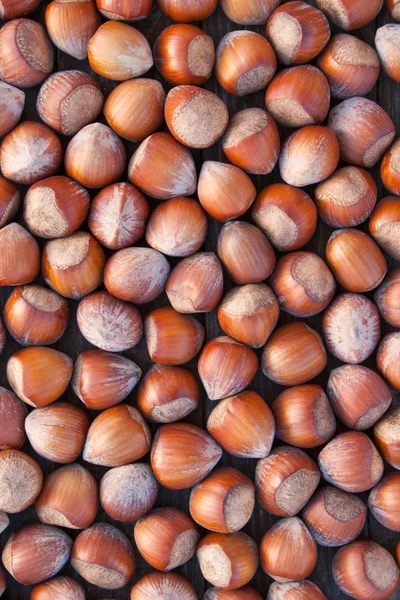 Hazelnuts — Stock Photo, Image