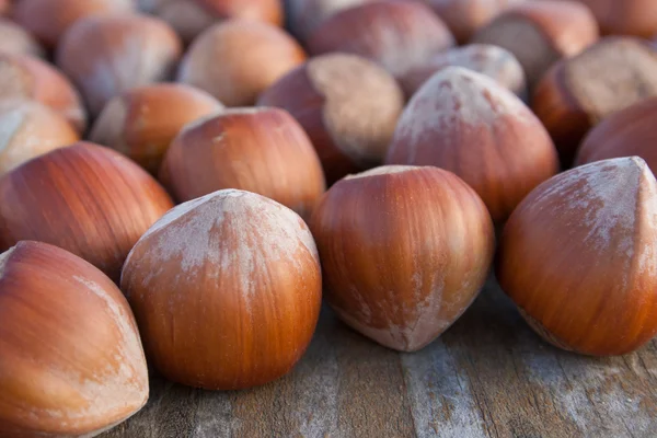 Hazelnuts — Stock Photo, Image