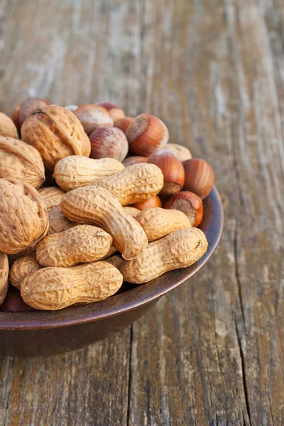 Nueces diferentes — Foto de Stock