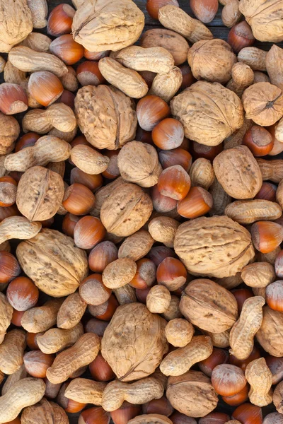 Разные орехи — стоковое фото