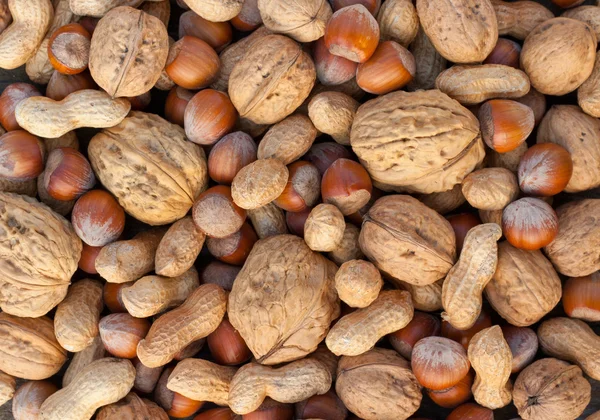 Nueces diferentes — Foto de Stock