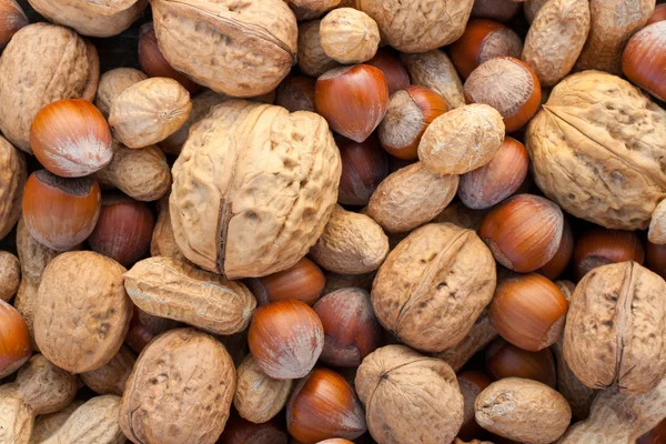 Verschillende noten — Stockfoto