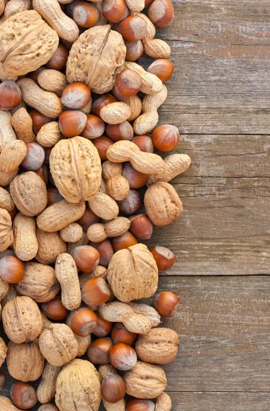 Nueces diferentes — Foto de Stock