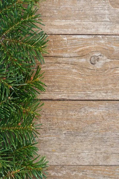 Fir and wood — Stock Photo, Image
