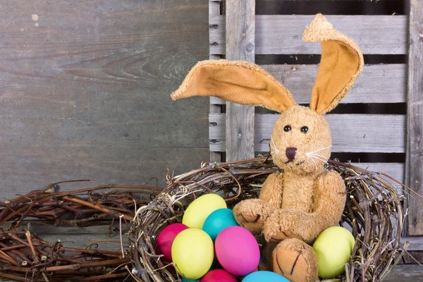 Conejito de Pascua —  Fotos de Stock