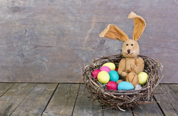 Conejito de Pascua — Foto de Stock