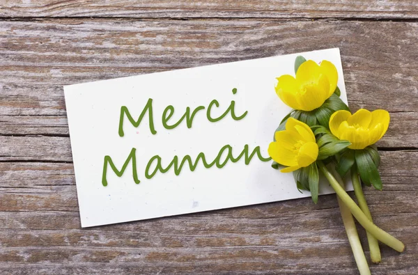 Merci maman. — Photo