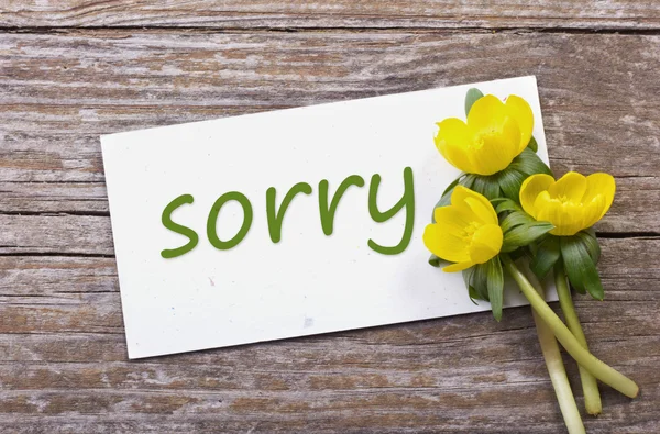 Sorry — Stockfoto