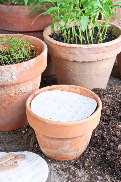 Jardinería — Foto de Stock