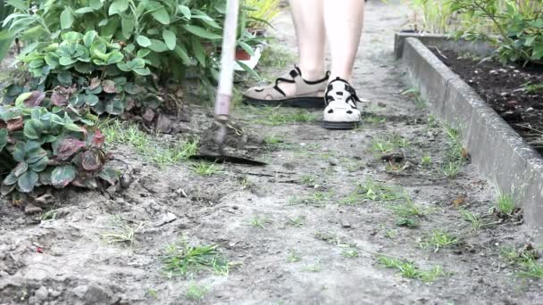 Gartenarbeit — ストック動画
