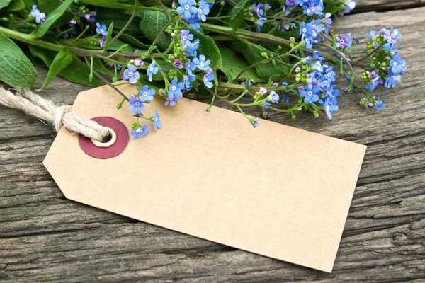 Blue flowers — Stock Photo, Image