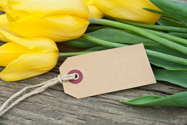 Gele tulpen — Stockfoto