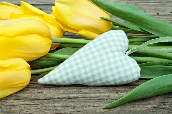 Tulipani gialli — Foto Stock