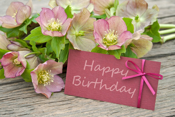 Birthday card — Stock Photo, Image