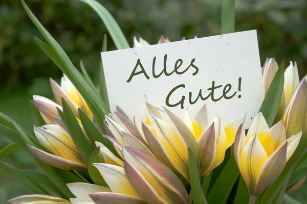 Alles Gute — Stockfoto