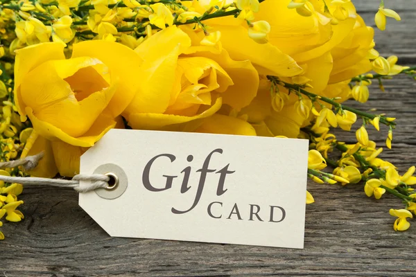 Gift card — Stock Photo, Image