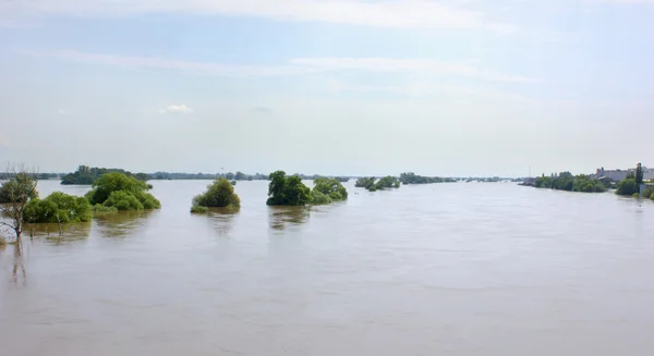 Acqua alta — Foto Stock