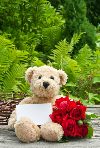 Teddy bear — Stockfoto