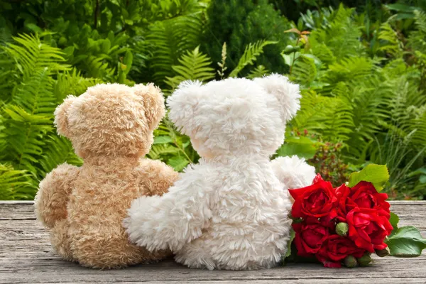 Teddy bears — Stock Photo, Image