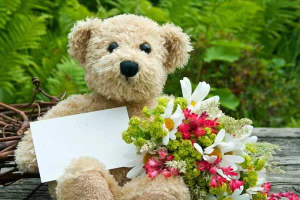 Teddy bear — Stockfoto