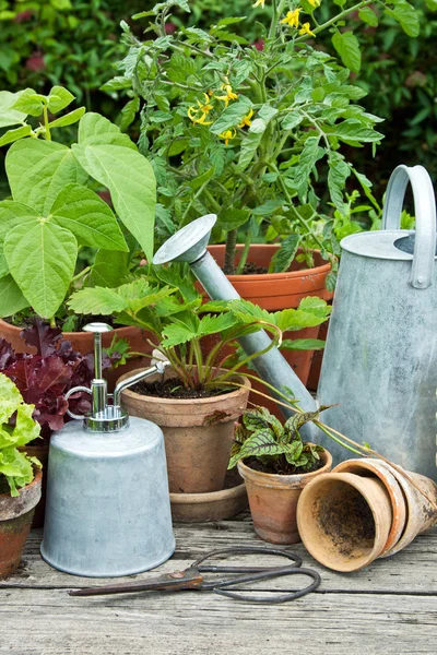 Gardening — Stock Photo, Image