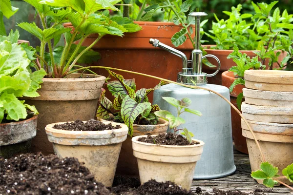 Gartenarbeit — Stockfoto