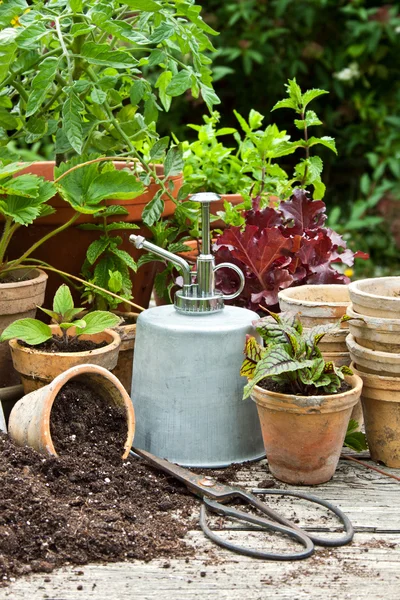 Giardinaggio — Foto Stock