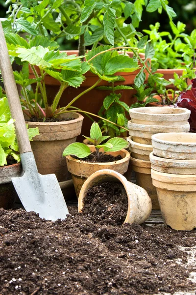 Giardinaggio — Foto Stock