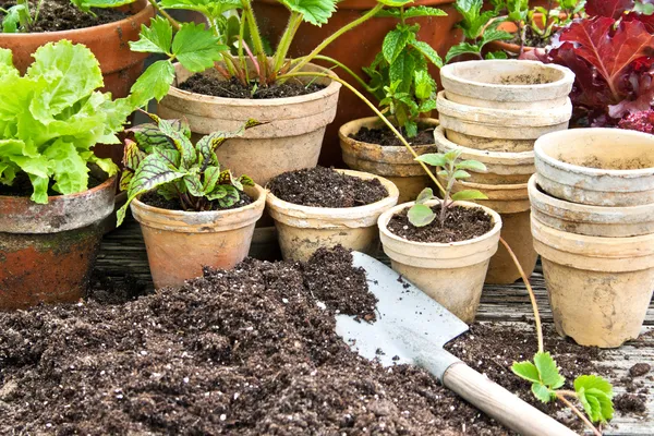 Gardening — Stock Photo, Image