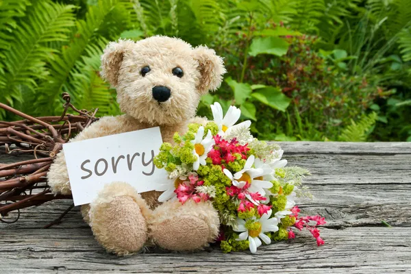 Sorry — Stockfoto