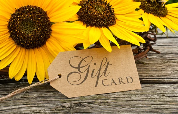 Gift card — Stock Photo, Image