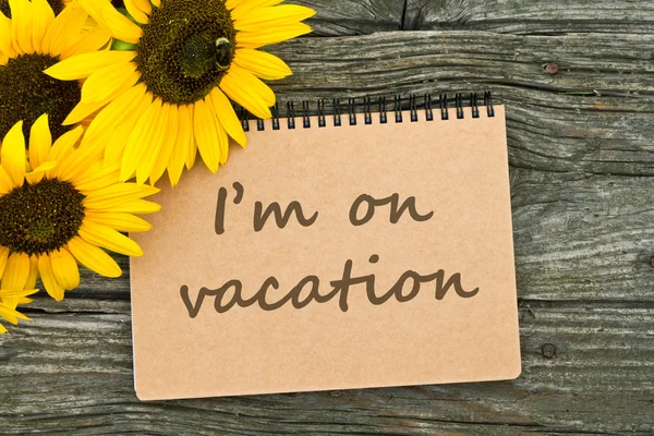 Vacanza. — Foto Stock