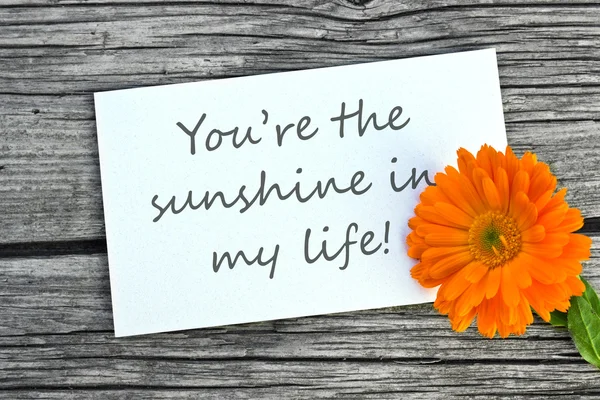 My sunshine — Stock Photo, Image