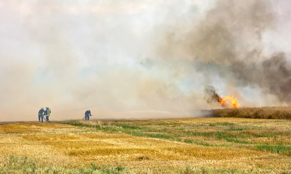 Feuer — Stockfoto