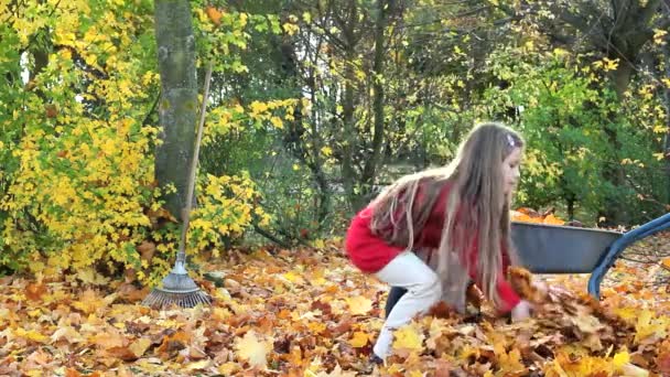 Feuilles — Video