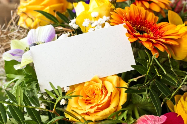 Flowers — Stock Photo, Image