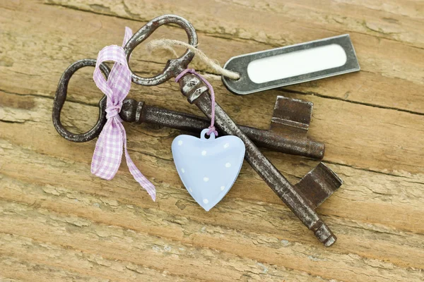 Two keys — Stock Photo, Image