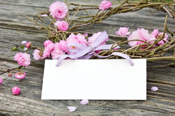 Flores cor de rosa — Fotografia de Stock