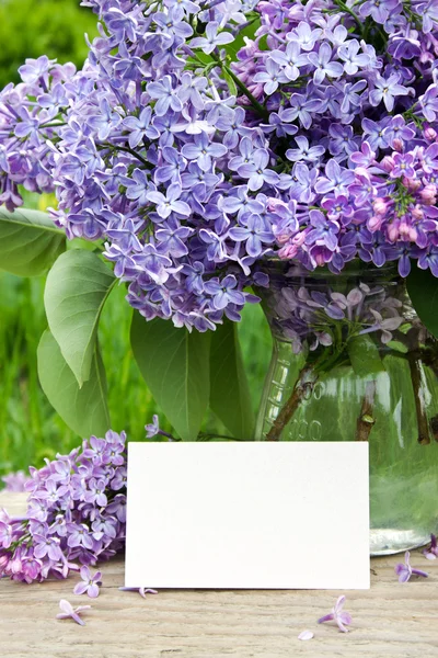 Lilac — Stock Photo, Image