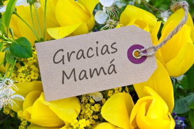 Anneler Günü Kartı