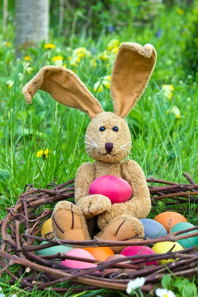 Osterhase — Stockfoto